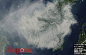 Langit Kalimantan Kian Meredup, Citra Satelit Ungkap Selimut Asap yang Membekap Paru-Paru Dunia