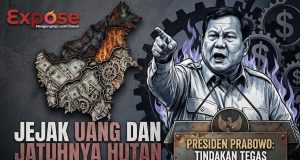 Jejak Hitam di Balik Karhutla Kalimantan: Ketika Hutan Menjadi Api Dan Berganti Menjadi Ladang Rupiah Korporasi