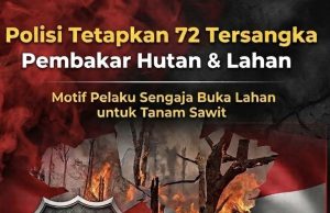 Jerat Hukum Perusak Lingkungan: 72 Pembakar Hutan Lintas Provinsi Resmi Ditersangkakan Bakar Hutan Demi Sawit