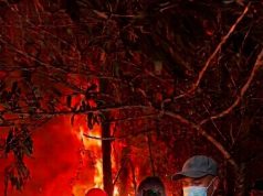 Bencana Bertopeng Kemarau: Petaka Karhutla Parit Demang yang Membara, Jejak Kejahatan Lingkungan di Tanah Gambut Pontianak