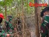 Deteksi 1 Hotspot, Koramil 1204-07/Tayan Hilir Bergerak Lakukan Pemadaman Serta Intensikan Patroli
