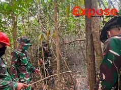 Deteksi 1 Hotspot, Koramil 1204-07/Tayan Hilir Bergerak Lakukan Pemadaman Serta Intensikan Patroli
