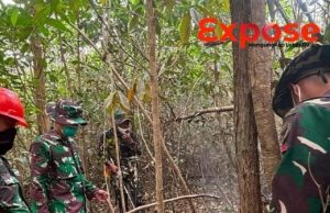 Deteksi 1 Hotspot, Koramil 1204-07/Tayan Hilir Bergerak Lakukan Pemadaman Serta Intensikan Patroli