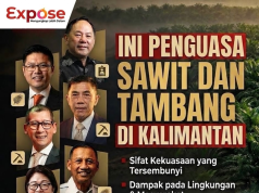 Mengurai Oligarki Ekonomi Kalimantan: Eksploitasi Tanpa Batas Kelapa Sawit dan Batubara