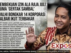 WALHI Bongkar Tabir Karhutla: Sanksi Pembekuan Izin Menteri Raja Juli Antoni Dinilai Sekadar ‘Gertak Sambal’