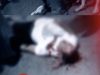 Geger Pria Tergeletak di Ambalat Bersimbah Darah,Isu Penikaman Masih Misteri