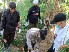 Mayat Perempuan Tanpa Identitas di Sukabumi Ditemukan Tergeletak di Bawah Pohon Pisang