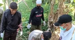 Mayat Perempuan Tanpa Identitas di Sukabumi Ditemukan Tergeletak di Bawah Pohon Pisang