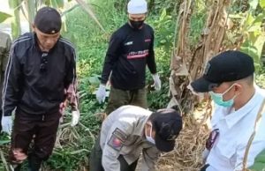 Mayat Perempuan Tanpa Identitas di Sukabumi Ditemukan Tergeletak di Bawah Pohon Pisang