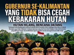 Hutan Hangus dan Rakyat Tercekik Asap: Gubernur Se-Kalimantan yang Tidak Bisa Cegah Kebakaran Hutan, Siapa yang Bertanggung Jawab?