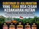 Hutan Hangus dan Rakyat Tercekik Asap: Gubernur Se-Kalimantan yang Tidak Bisa Cegah Kebakaran Hutan, Siapa yang Bertanggung Jawab?