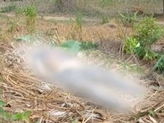 Warga Ciemas Sukabumi Digegerkan Oleh Penemuan Jasad yang Diduga Berjenis Kelamin Perempuan di Sebuah Perkebunan Jati