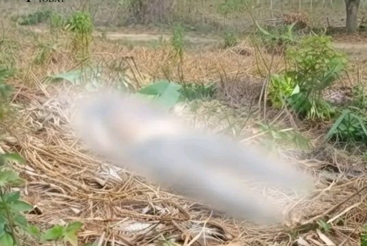 Warga Ciemas Sukabumi Digegerkan Oleh Penemuan Jasad yang Diduga Berjenis Kelamin Perempuan di Sebuah Perkebunan Jati