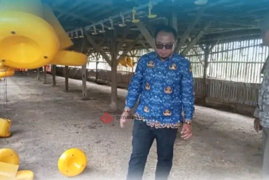 Tindak Lanjuti Aduan Warga Masyarakat,Dinas Peternakan Sukabumi Sidak Peternakan Ayam