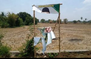 Baliho Kampanye Dirusak, Calon Kades Kedawung Ristoyo Tetap Bersikap Legowo